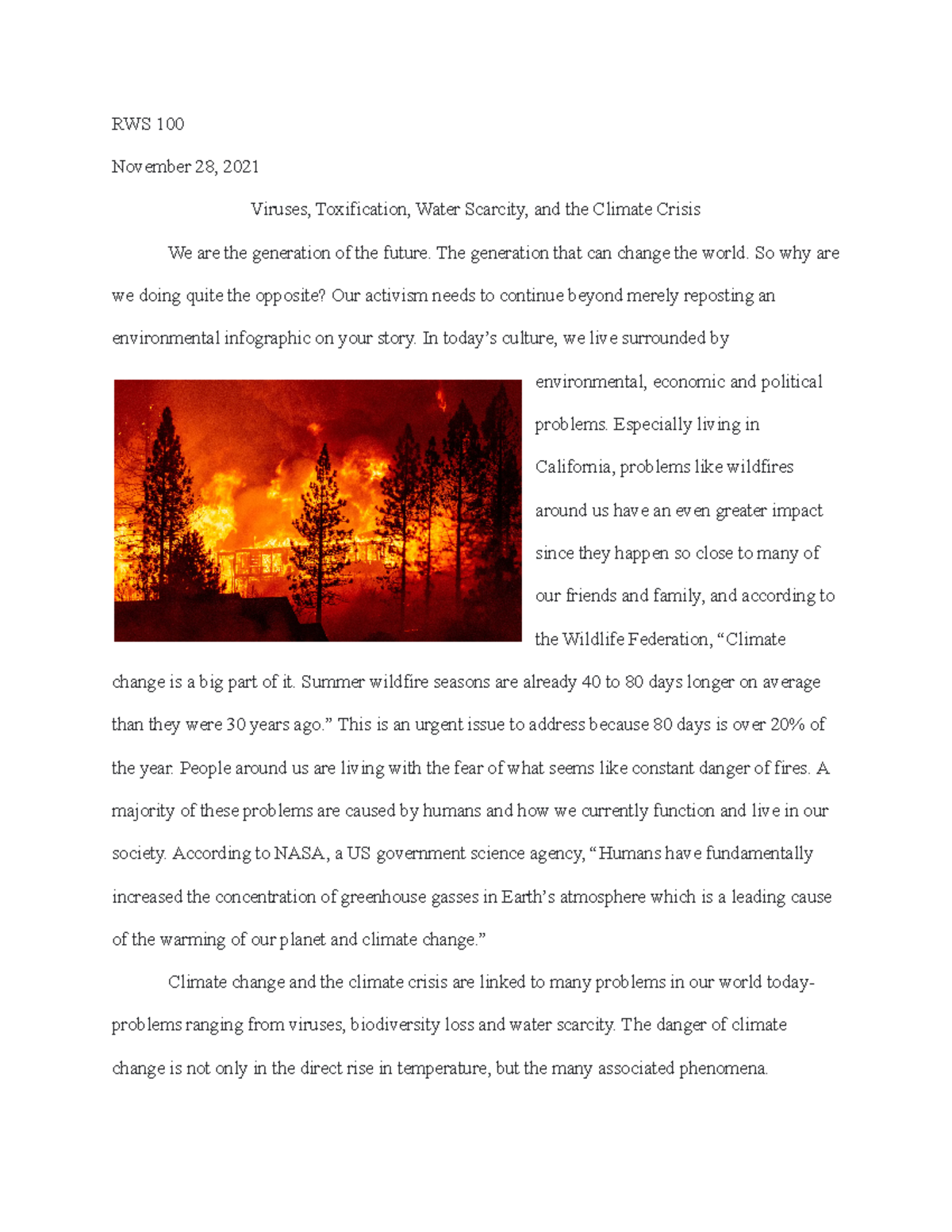 environment crisis essay