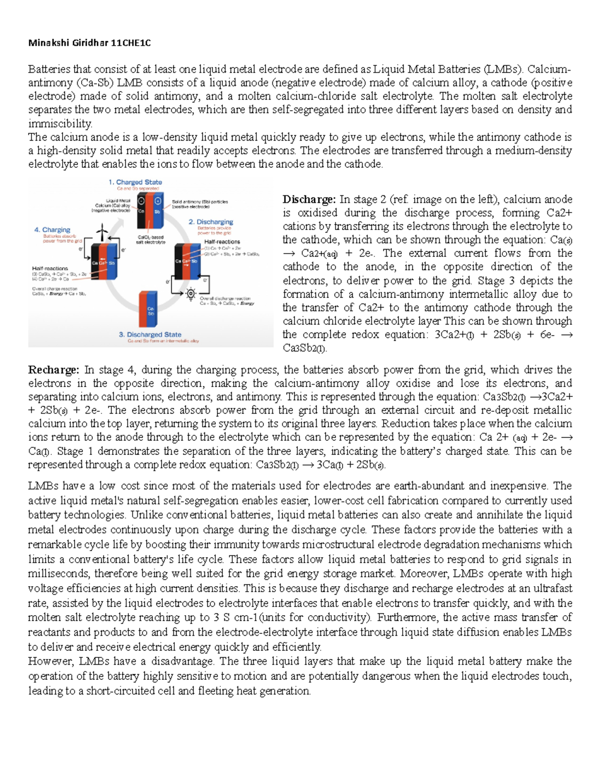 Chemistry depth study report - Copy - Minakshi Giridhar 11CHE1C ...