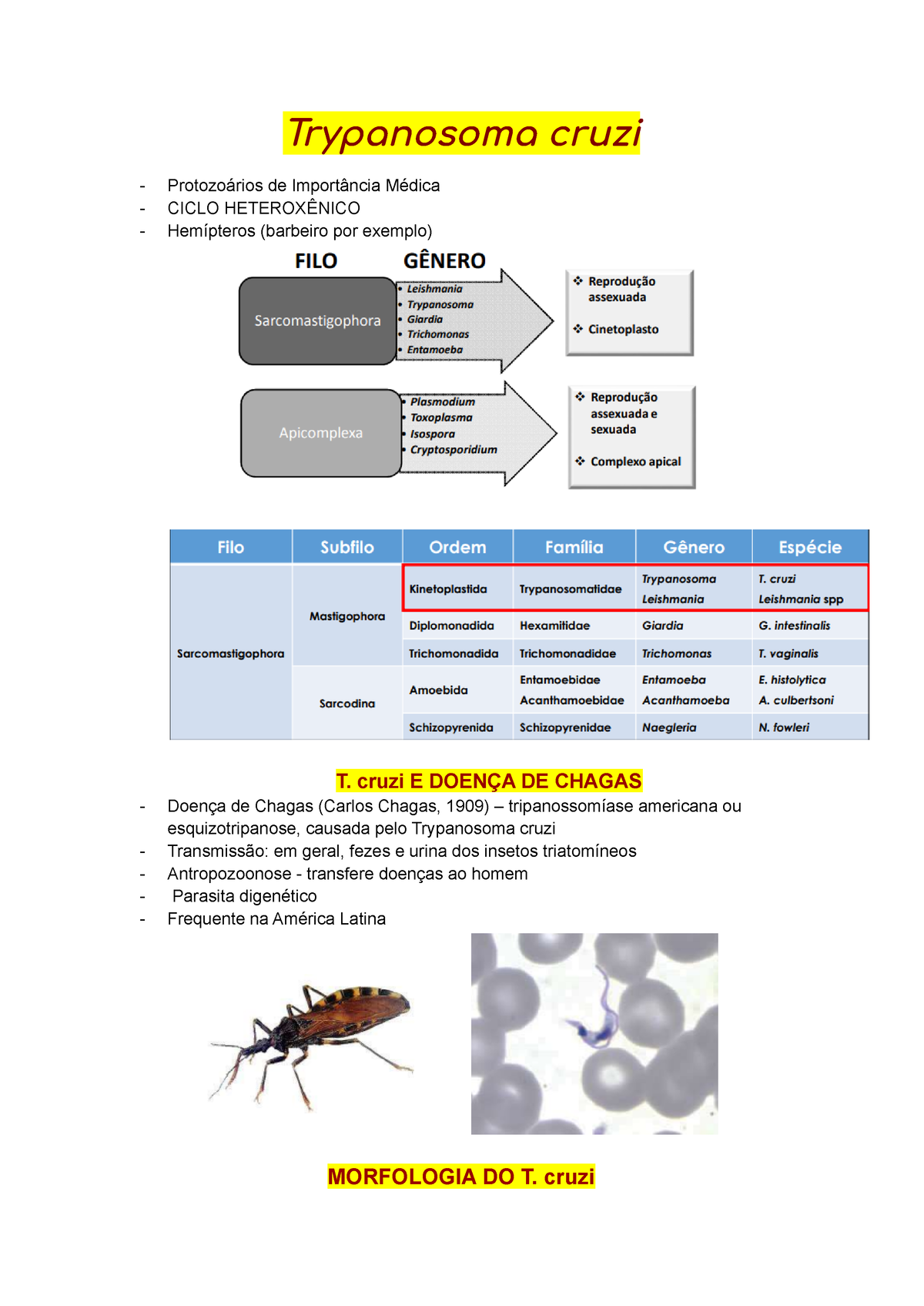 trypanosoma-cruzi-principais-caracter-sticas-manifesta-es