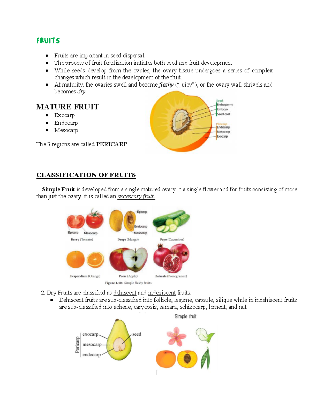 Fruits BOT LAB . FRUITS Fruits are important in seed dispersal