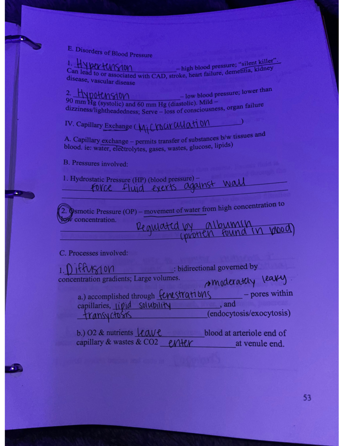 100 - Anatomy and Physiology II w/ Lab lecture notes and quiz notes ...