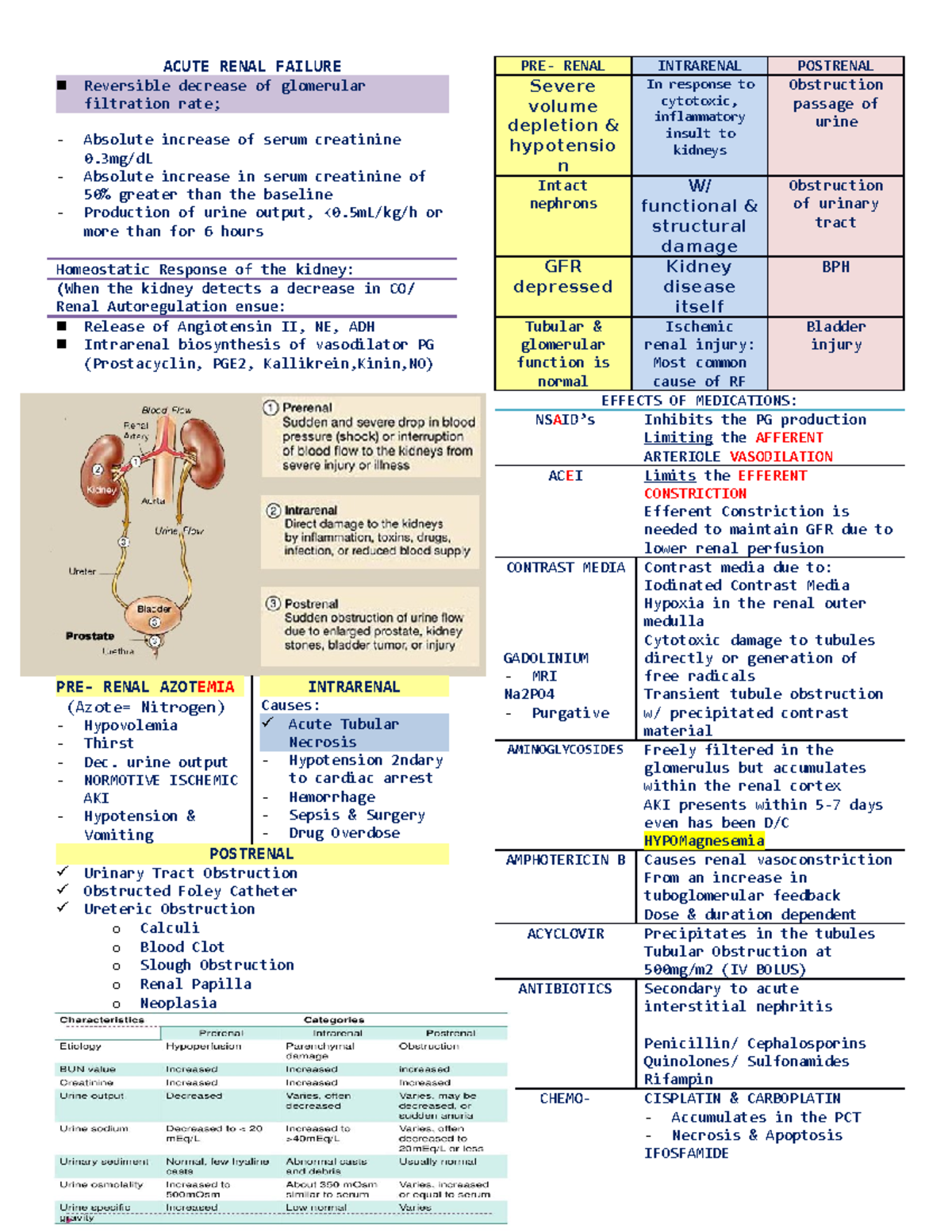 Acute Renal Failure - Summary Clinical Pharmacy and ...