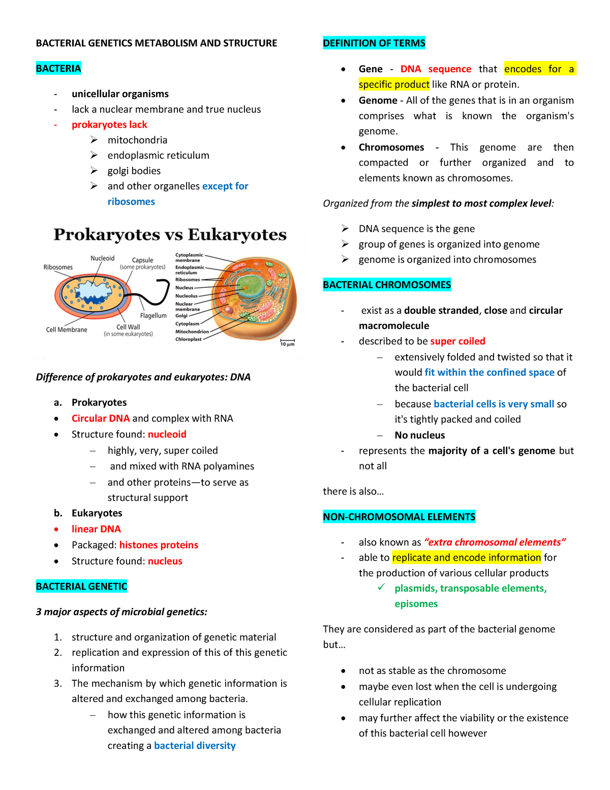 Bacterial Genetics Metabolism AND Structure 2 - BACTERIAL GENETICS ...