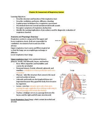 Respiratory System Disorders - Chapter 21: Respiratory Care Modalities ...