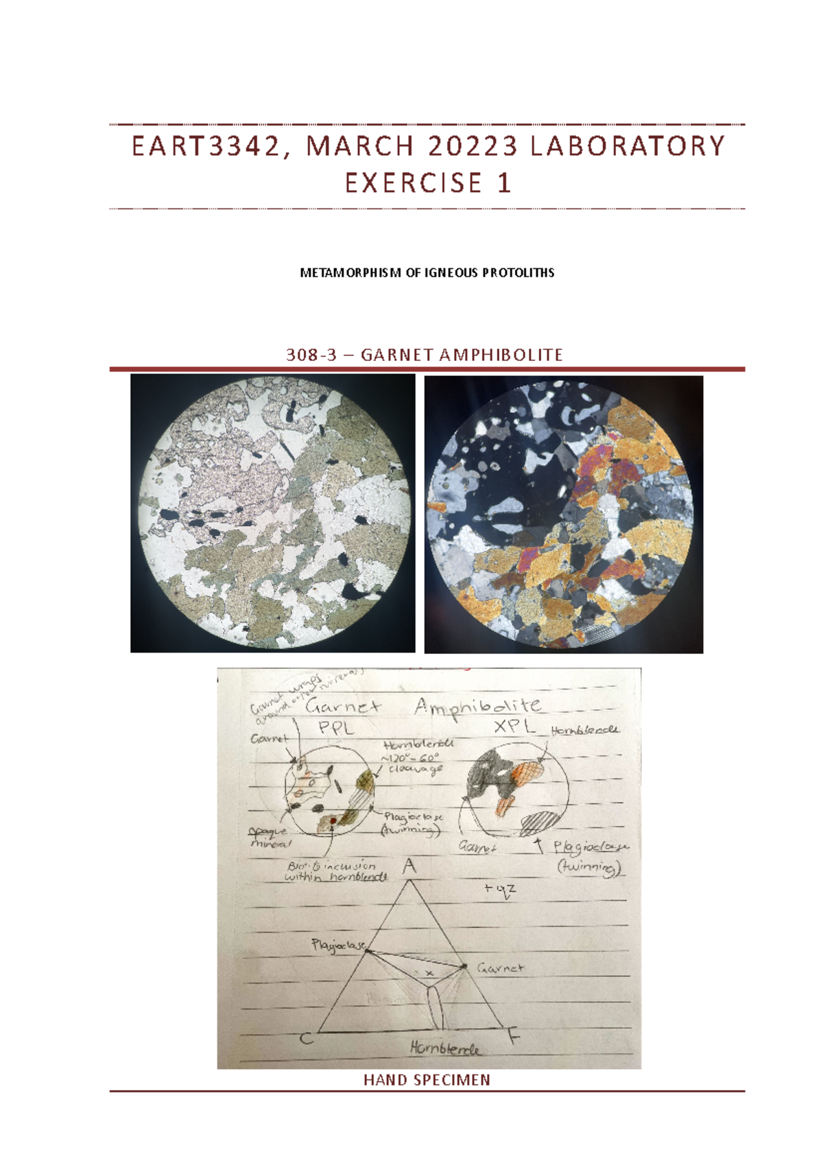 Lab 1 Metamorphism of igneous protoliths 2023 - E A R T 3 3 4 2 , M A R ...