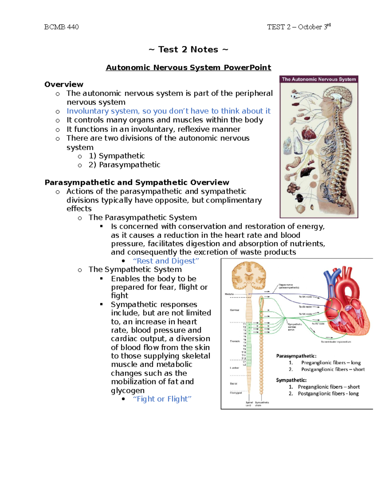 BCMB 440 TEST 2 Notes - BCMB 440 - ~ Test 2 Notes ~ Autonomic Nervous ...