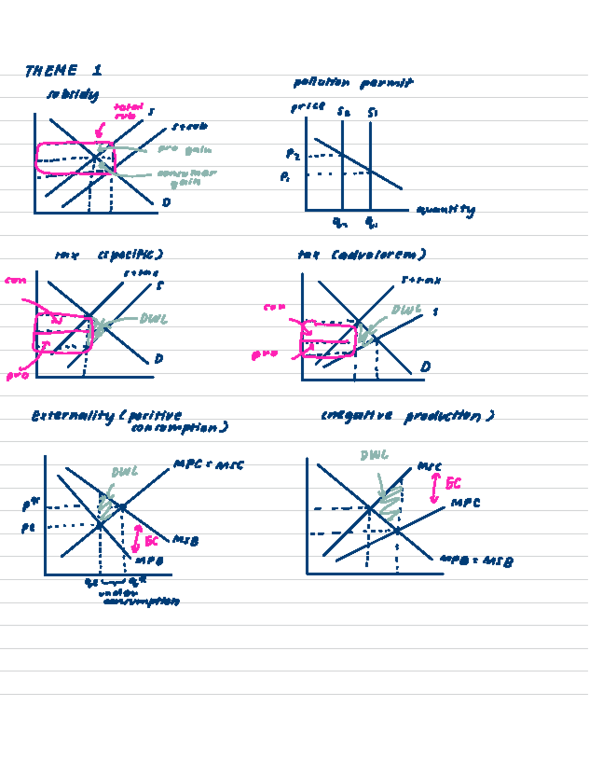 Economics theme 1 graphs - THEME 1 pollution permit subsidy totalare ...