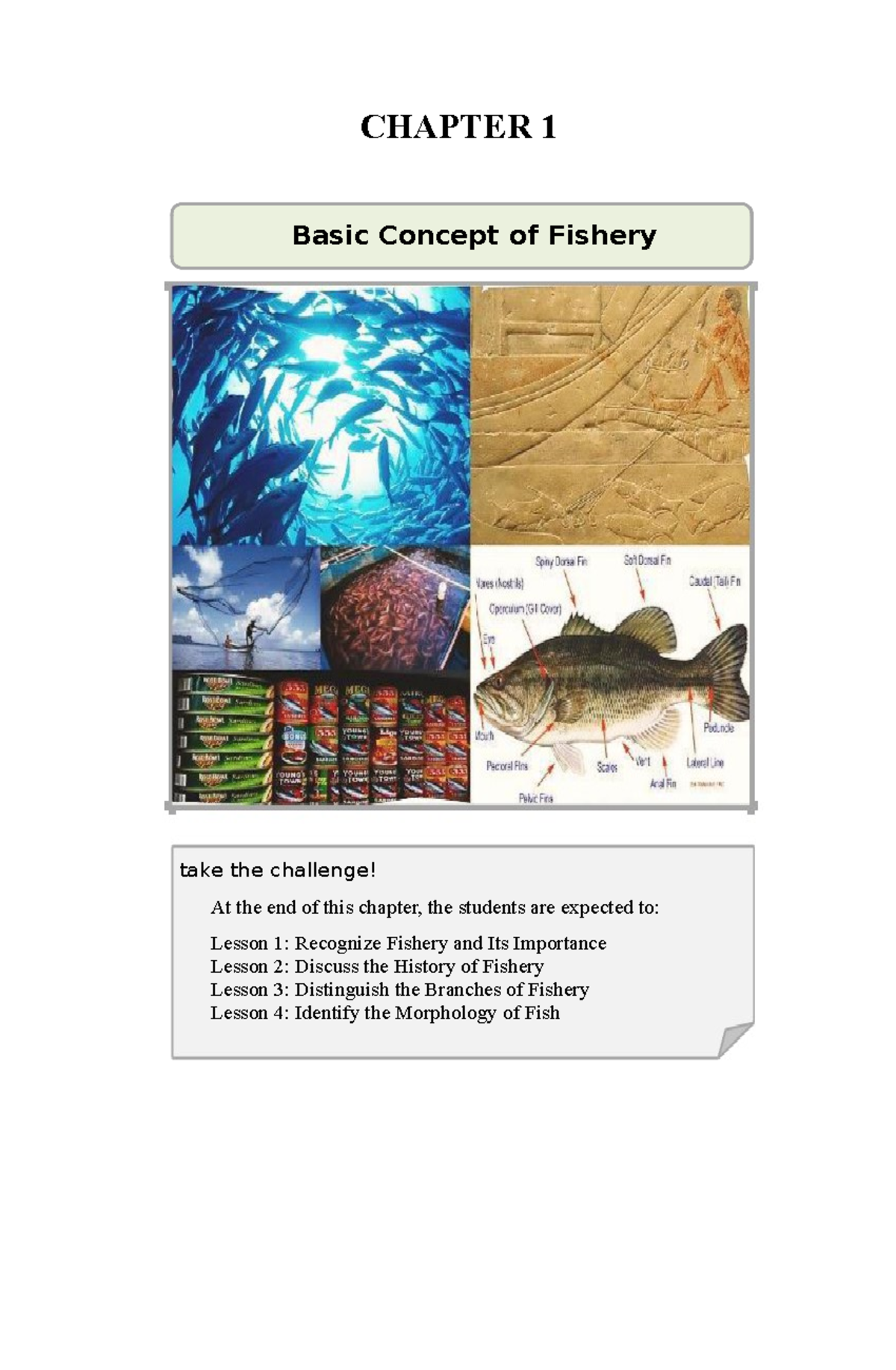 Fishery Science Module - CHAPTER 1 Basic Concept Of Fishery Take The ...