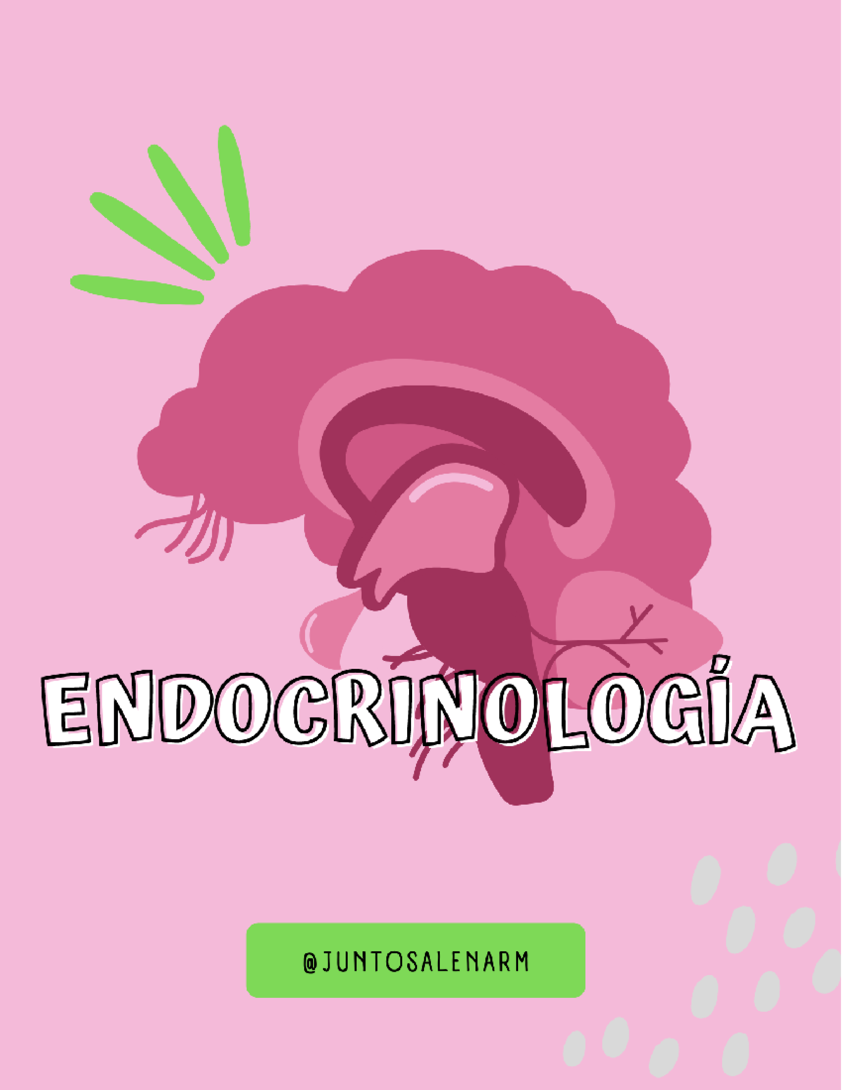 Endocrinologia @ Juntosalenarm - FISIOLOGÕA END"CRINA Hormonas ...