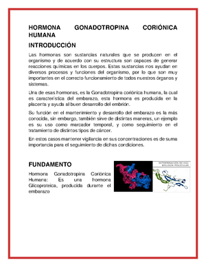 Examen de gonadotropina online corionica humana