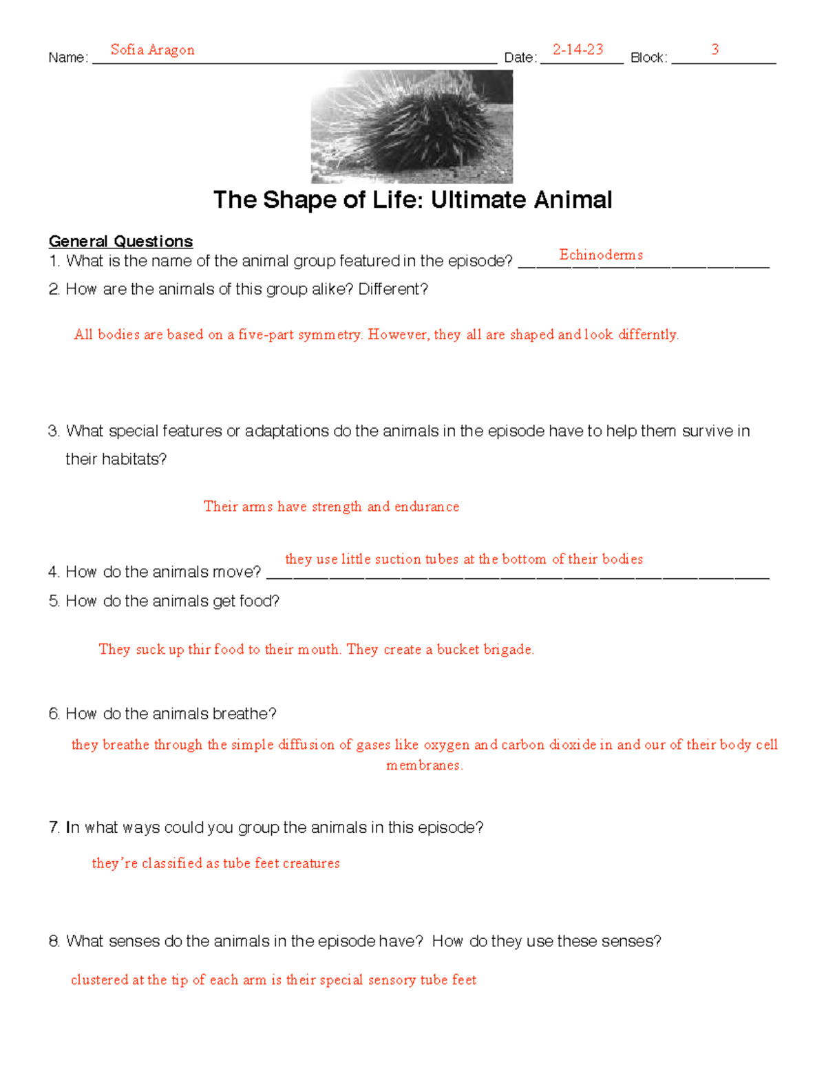 Shape of life episode 7 questions The Shape of Life Ultimate Animal