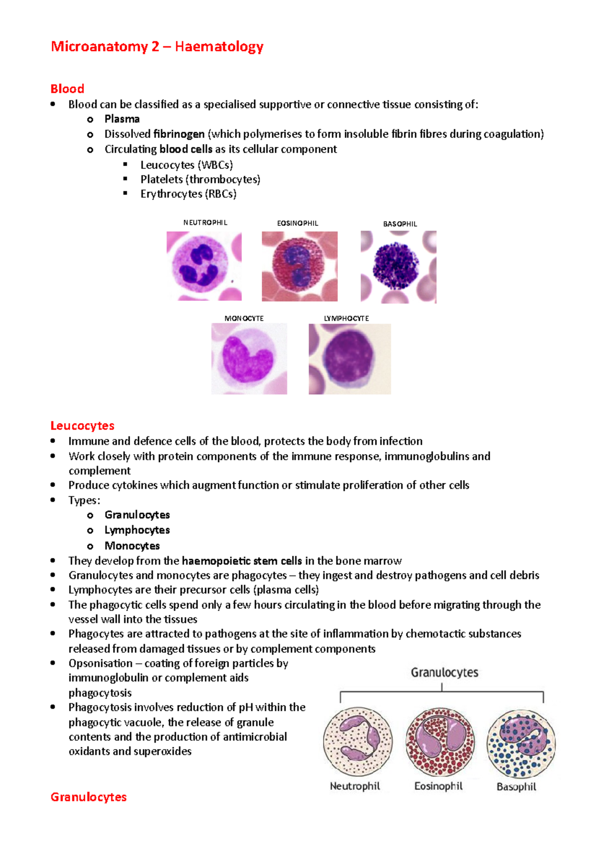 Haematology Microanatomy - Microanatomy 2 – Haematology Blood Blood can ...