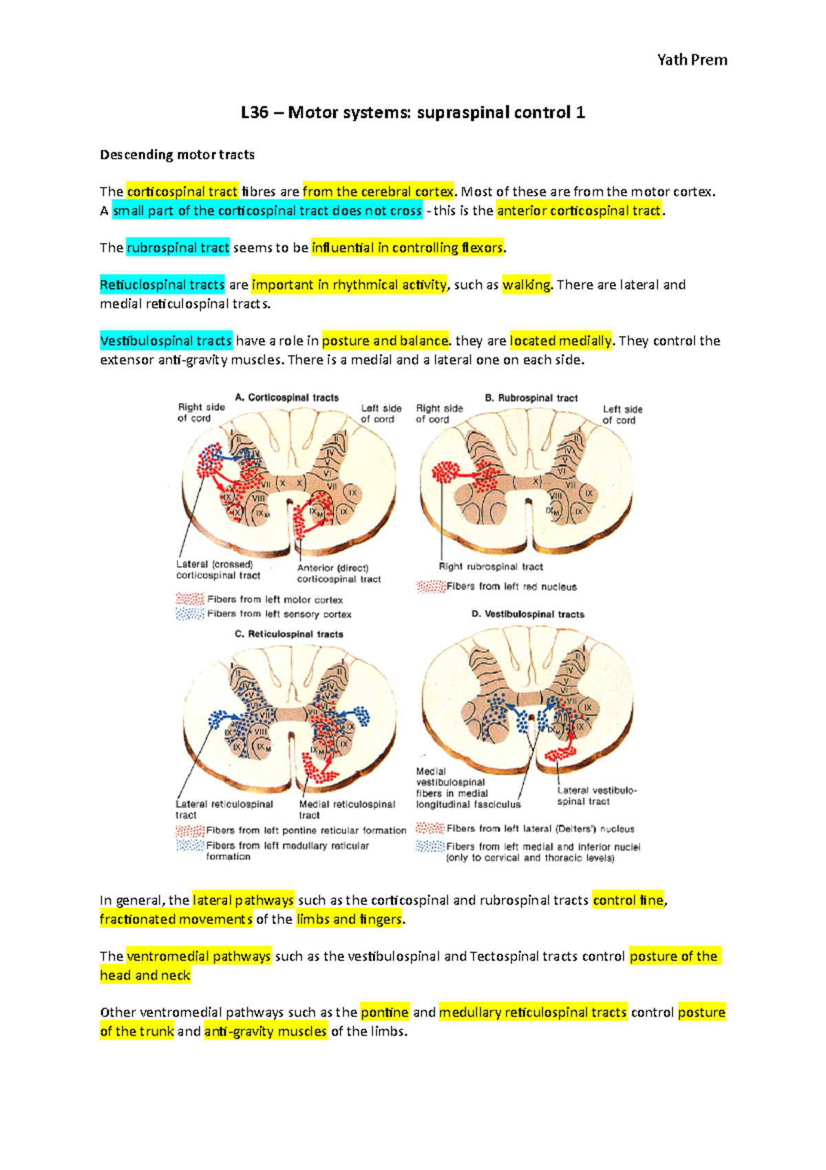 L36 – Motor systems- supraspinal control 1 - Most of these are from the ...