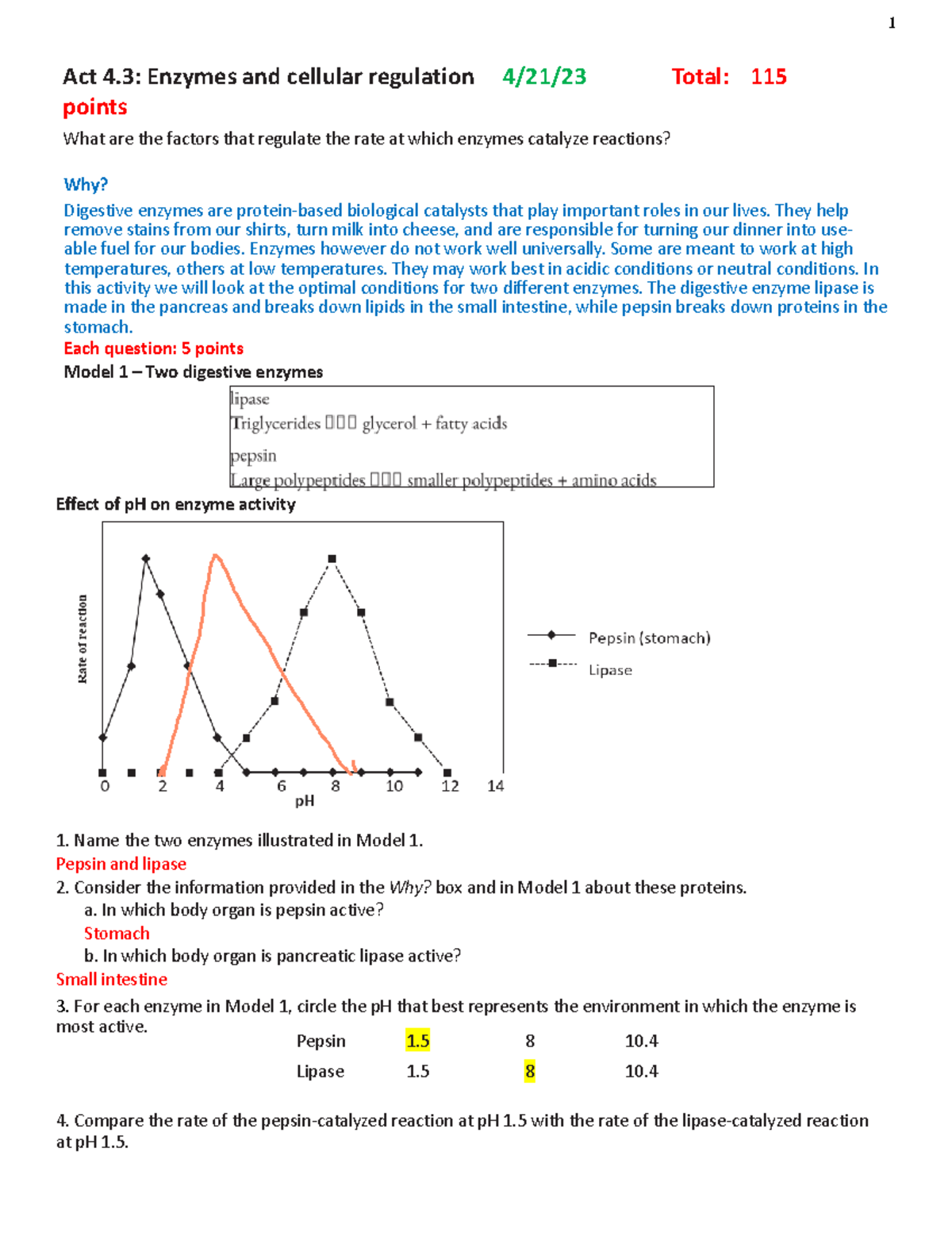 Enzymes And Cellular Regulation Answer Key Kami Export - act 4.3- enzymes and cellular regulation - 1 Act 4