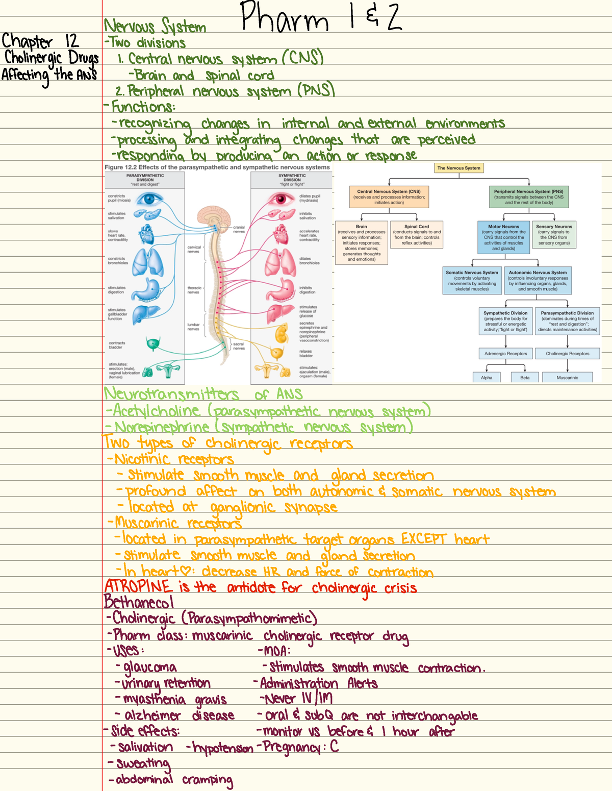 Pharm module 1&2 - NUR 354 - Studocu