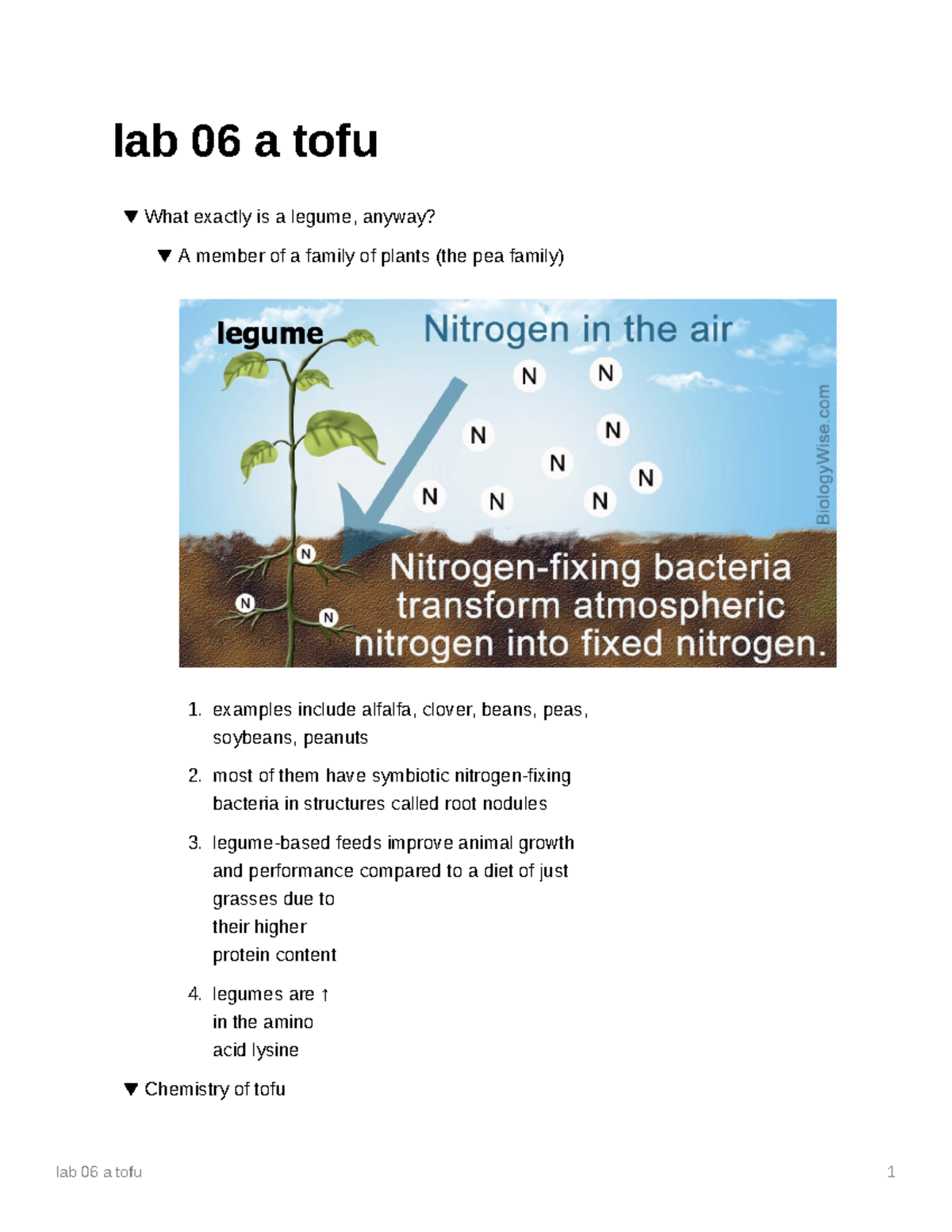 Lab 06 a tofu Lab notes on how tofu is made and processed What