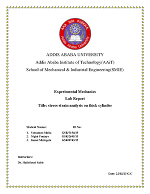 addis ababa university project management thesis pdf