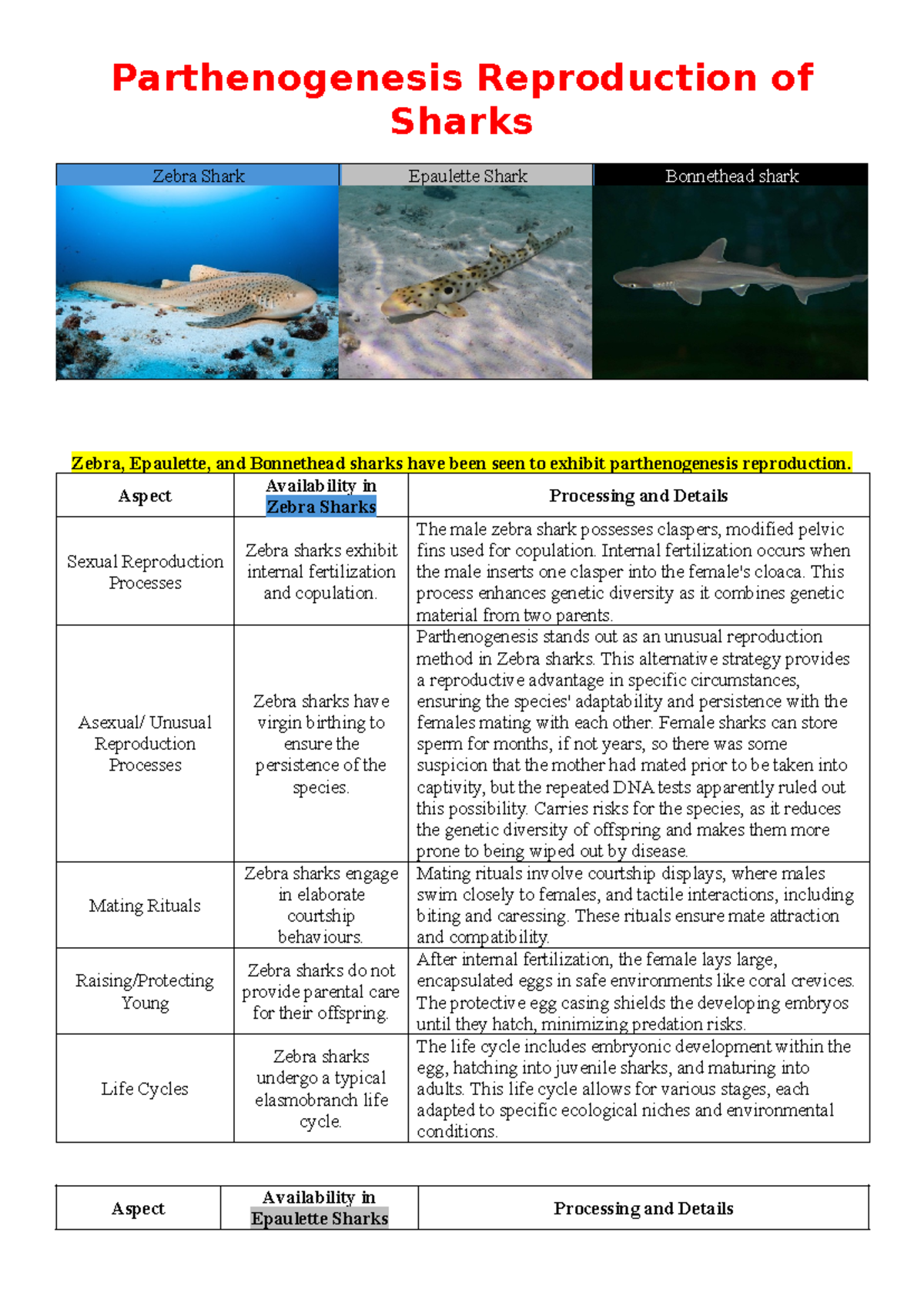 Research - Parthenogenesis Reproduction of Sharks - Parthenogenesis ...