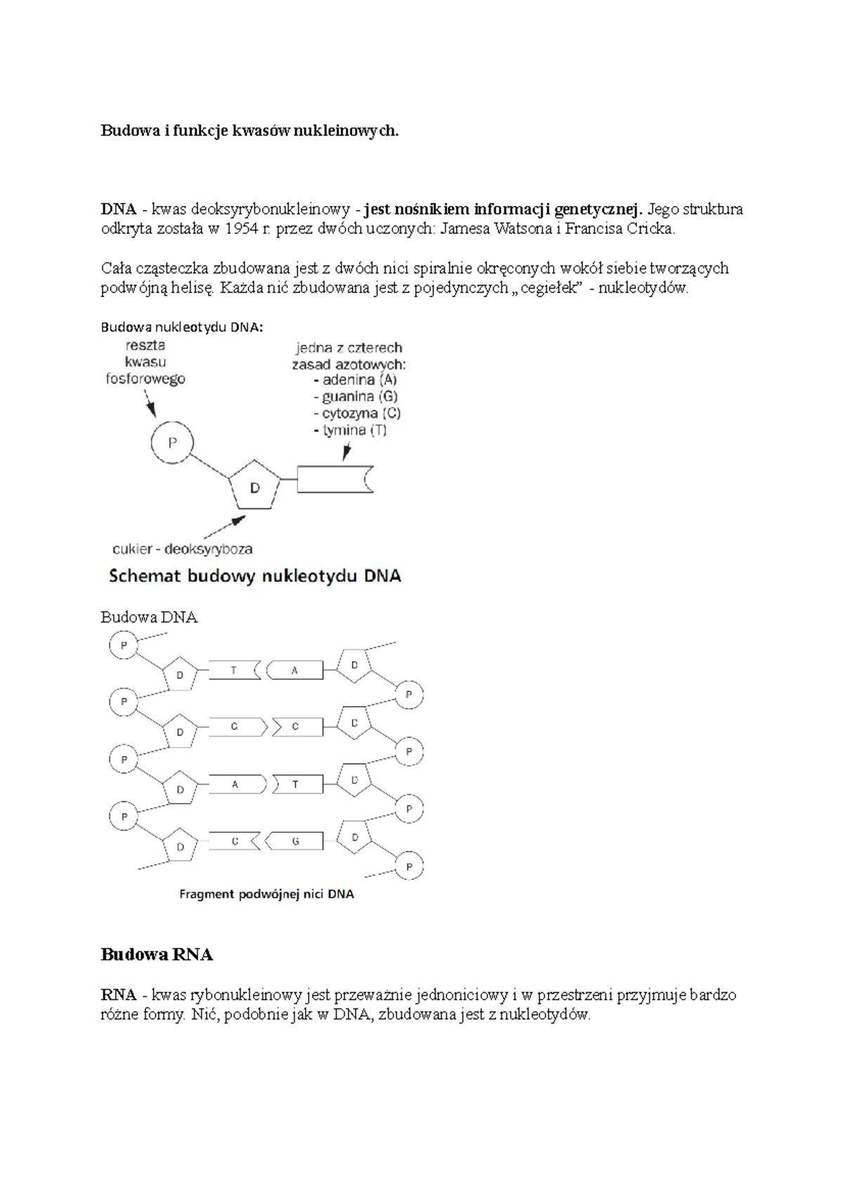 Sprawdzian Z Budowy Dna I Kompletarności www.studocu.com