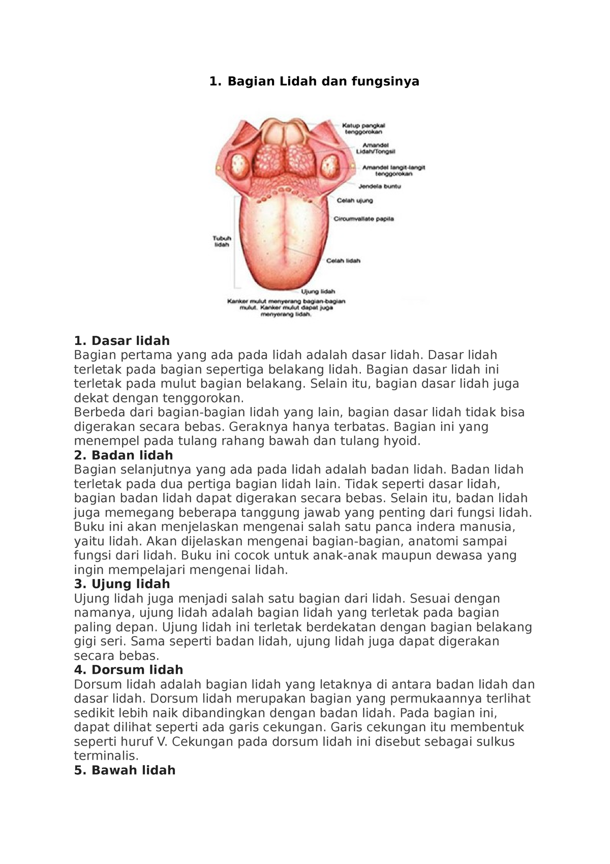 Bagian Lidah dan fungsinya - Bagian Lidah dan fungsinya Dasar lidah ...