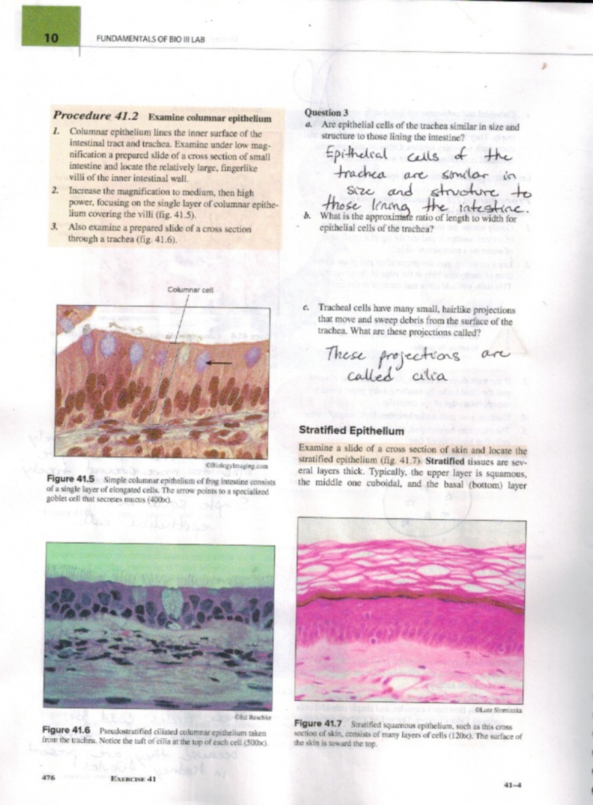 Biology Lab Notes - BIO 1001L - Studocu