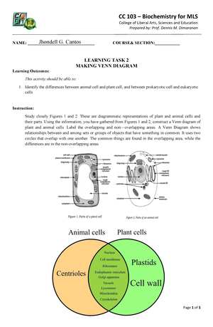 Venn Diagram of Plants and Animal cells - Page 1 of 3 CC 103 – Biochemistry  for MLS College of - Studocu