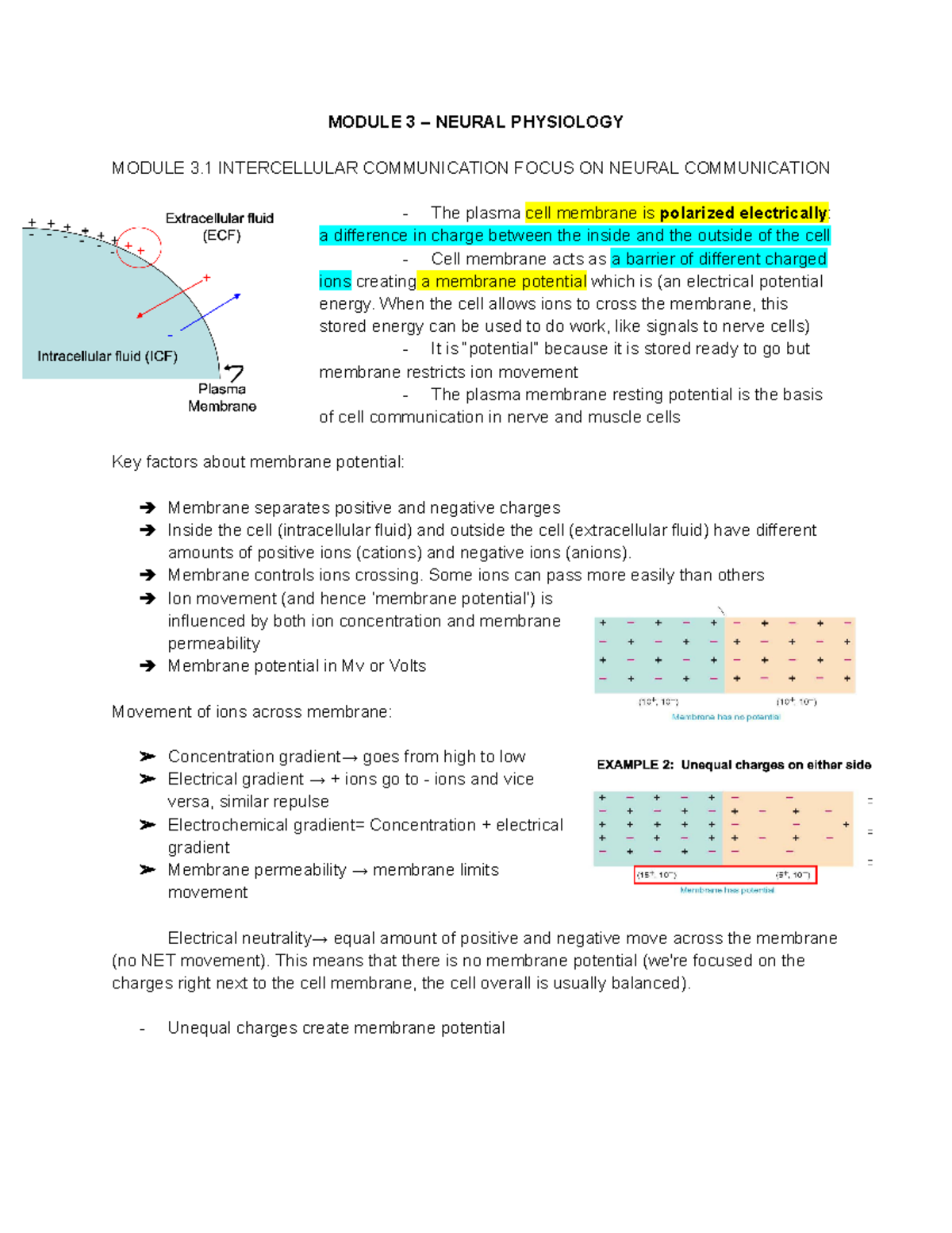 KINE2011 - Human Physiology notes - Google Docs - MODULE 3 – NEURAL ...