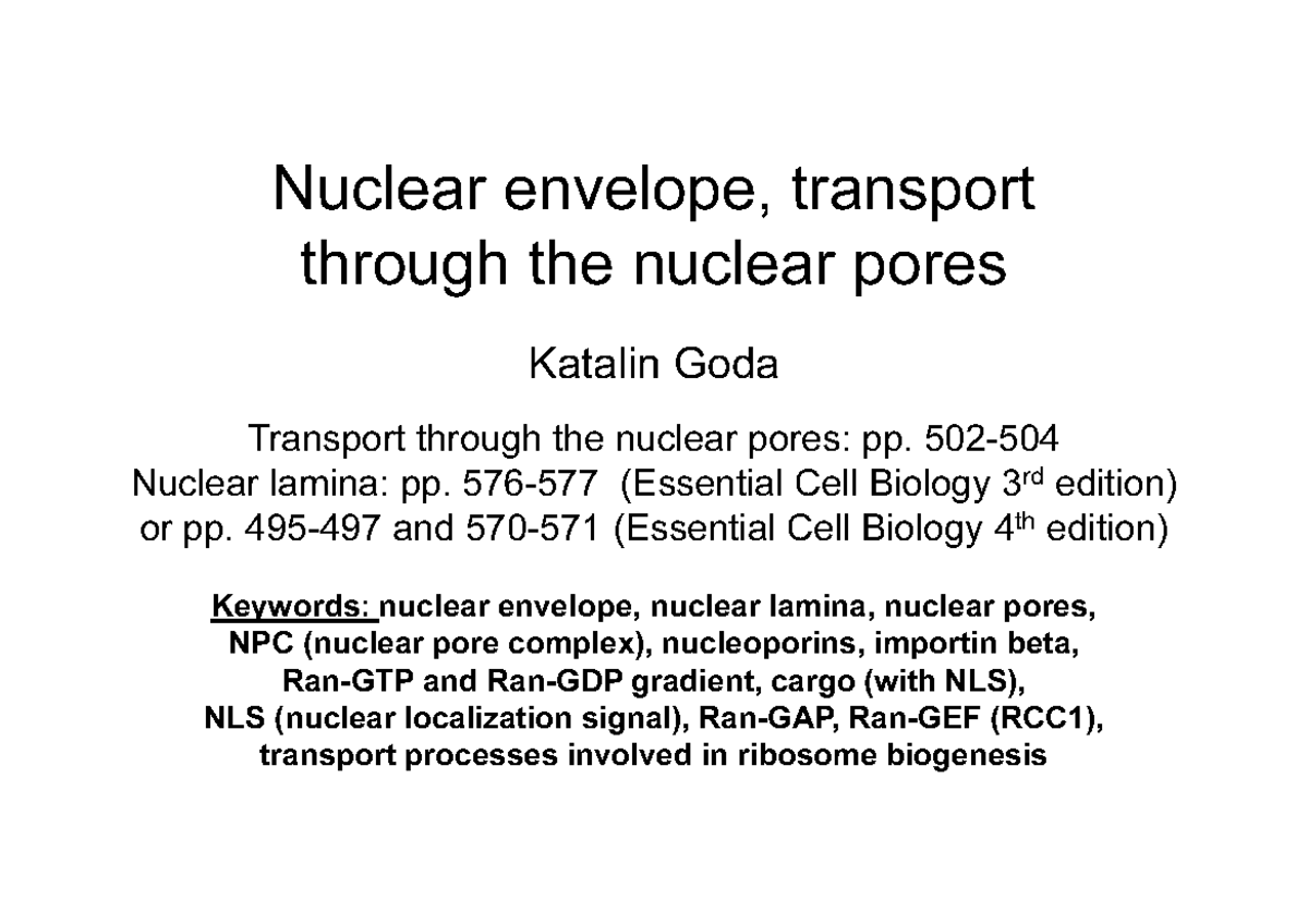 12 Nuclear envelope lecture Debrecen University Biology Diagrams