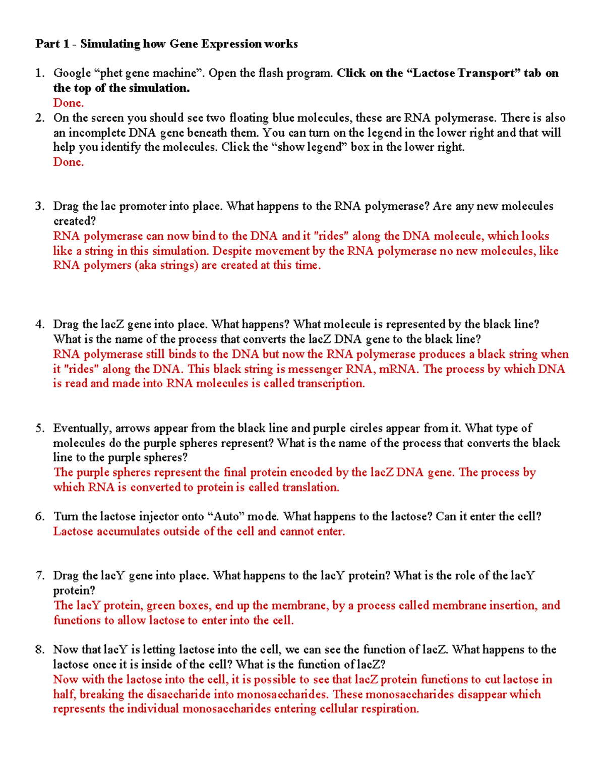 Phet contribution 5115 8912 Part 1 Simulating how Gene Expression