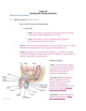 Chapter 27 Study guide PDF - Chapter 27 Assessing Female Genitalia ...