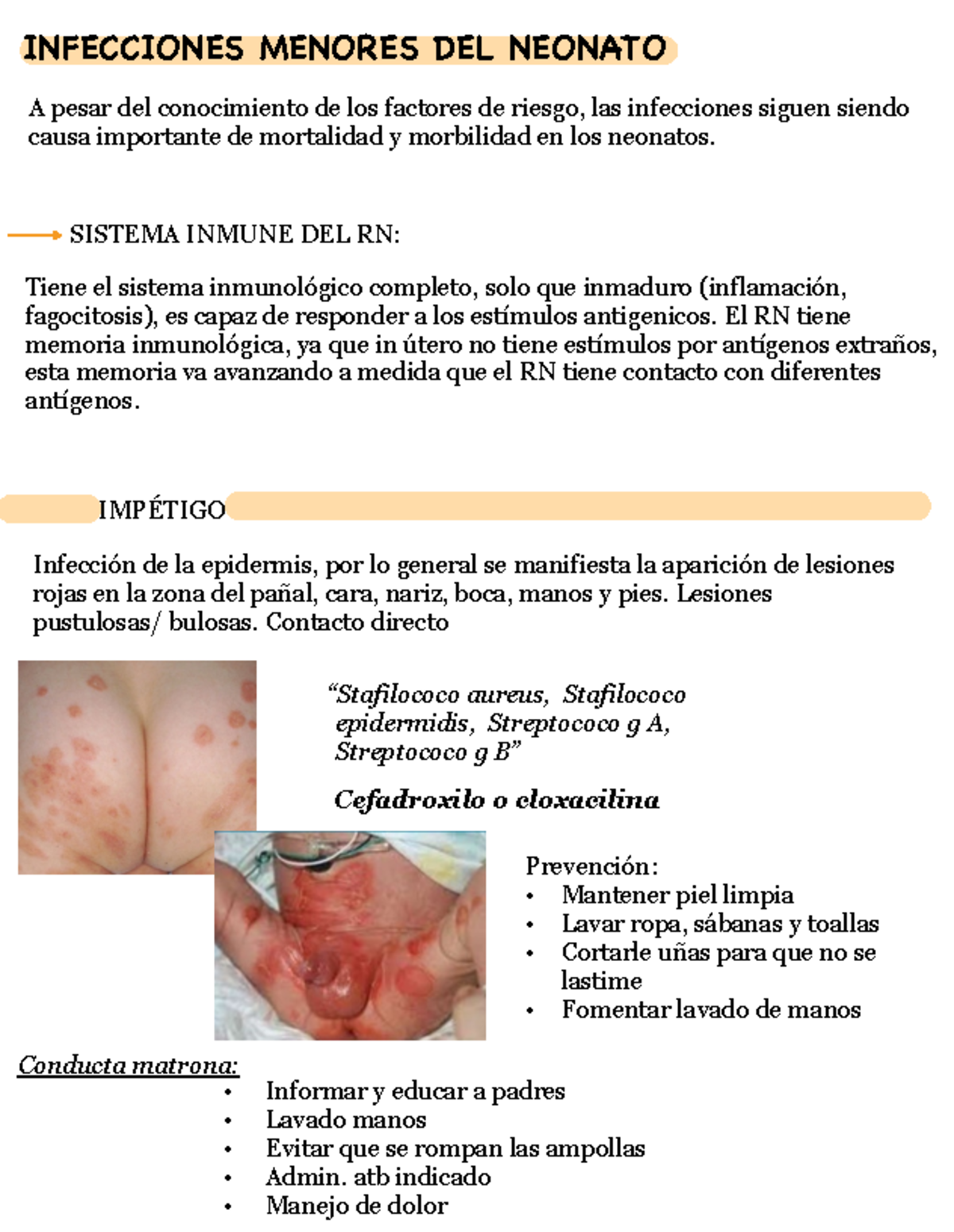 Neonatólogia PP2 - Neo - INFECCIONES MENORES DEL NEONATO A pesar del ...