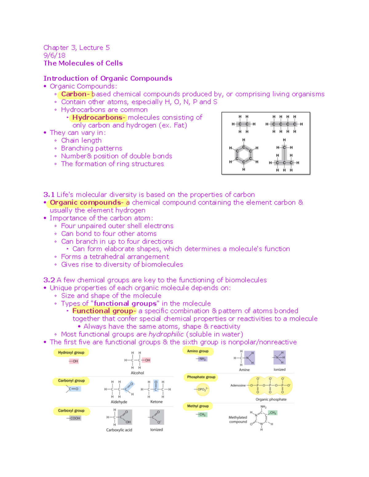 mastering biology chapter 3 homework answers