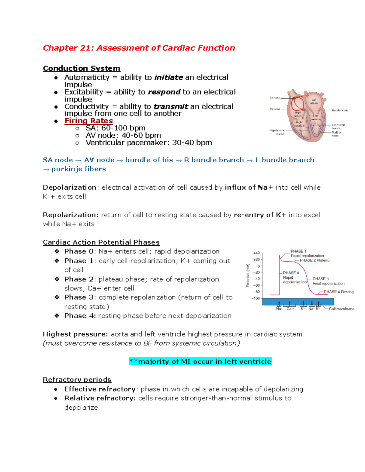 Med Surg II Exam 1 - Review Notes For Exam 1 - Chapter 21: Assessment ...