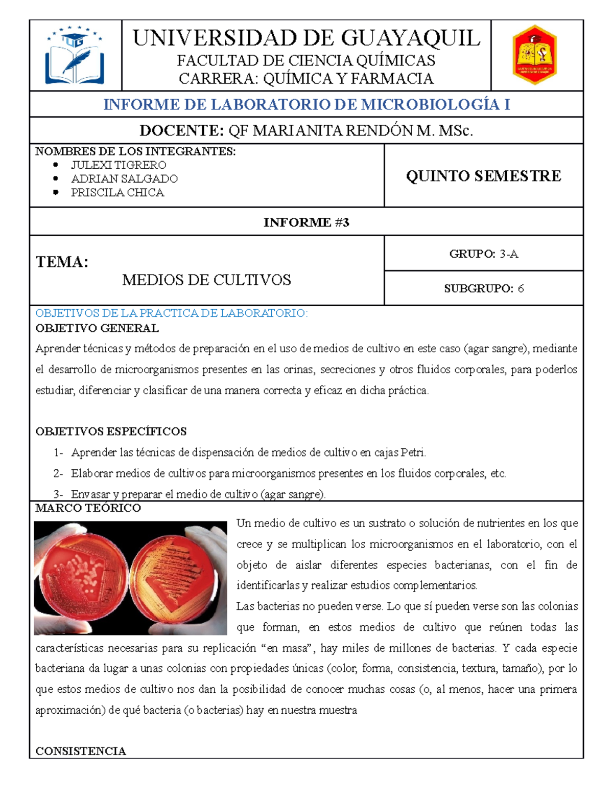 Informe Universidad De Guayaquil Facultad De Ciencia Qu Micas Carrera Qu Mica Y Farmacia