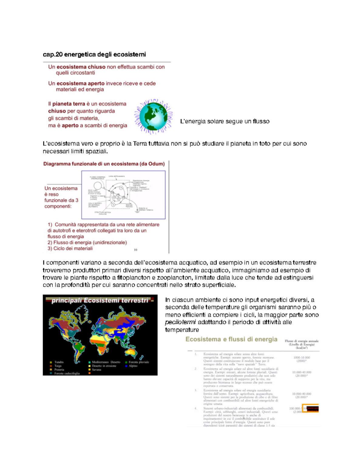 flusso di energia attraverso un ecosistema Pearson