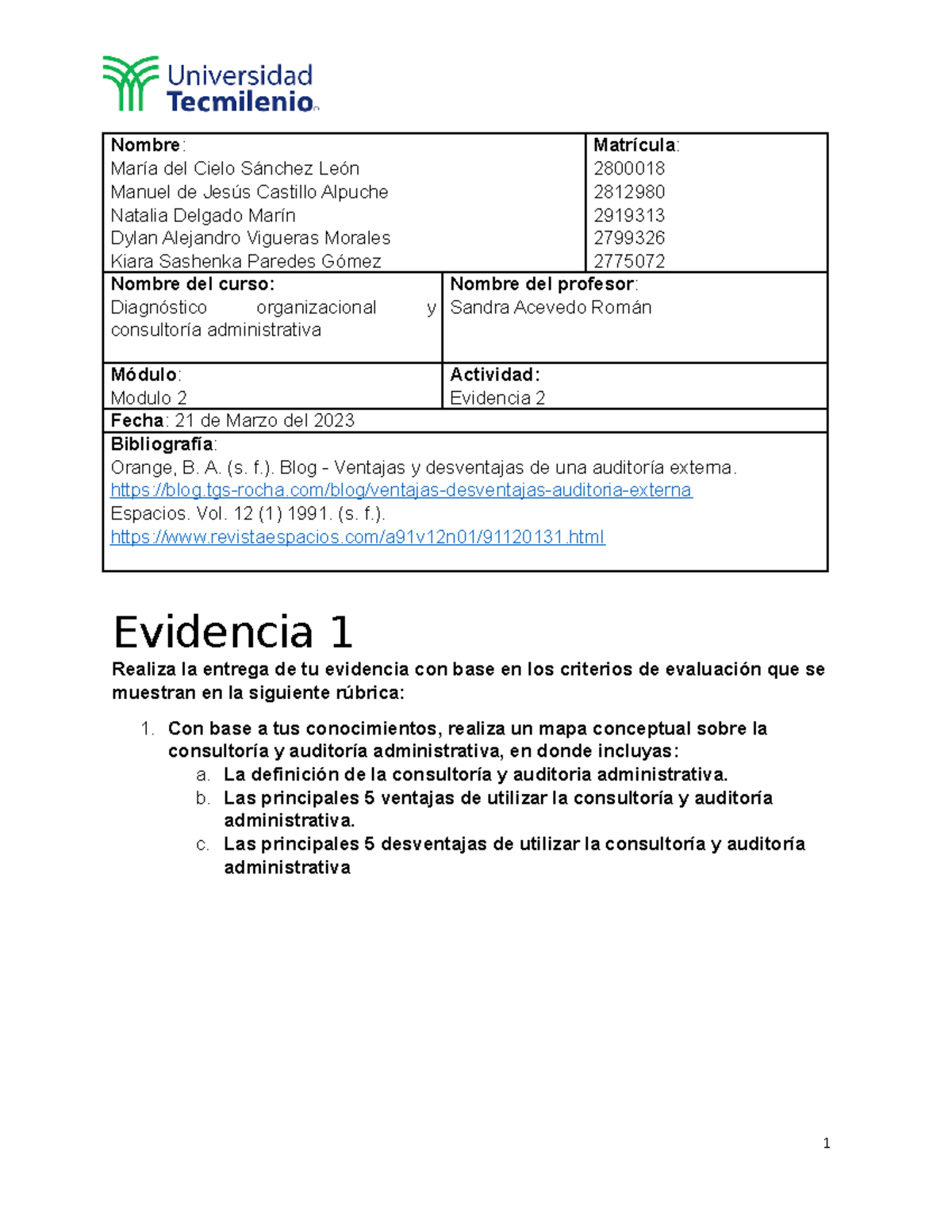 Diagnóstico Organizacional Y Consultoría Administrativa Evidencia 2 ...