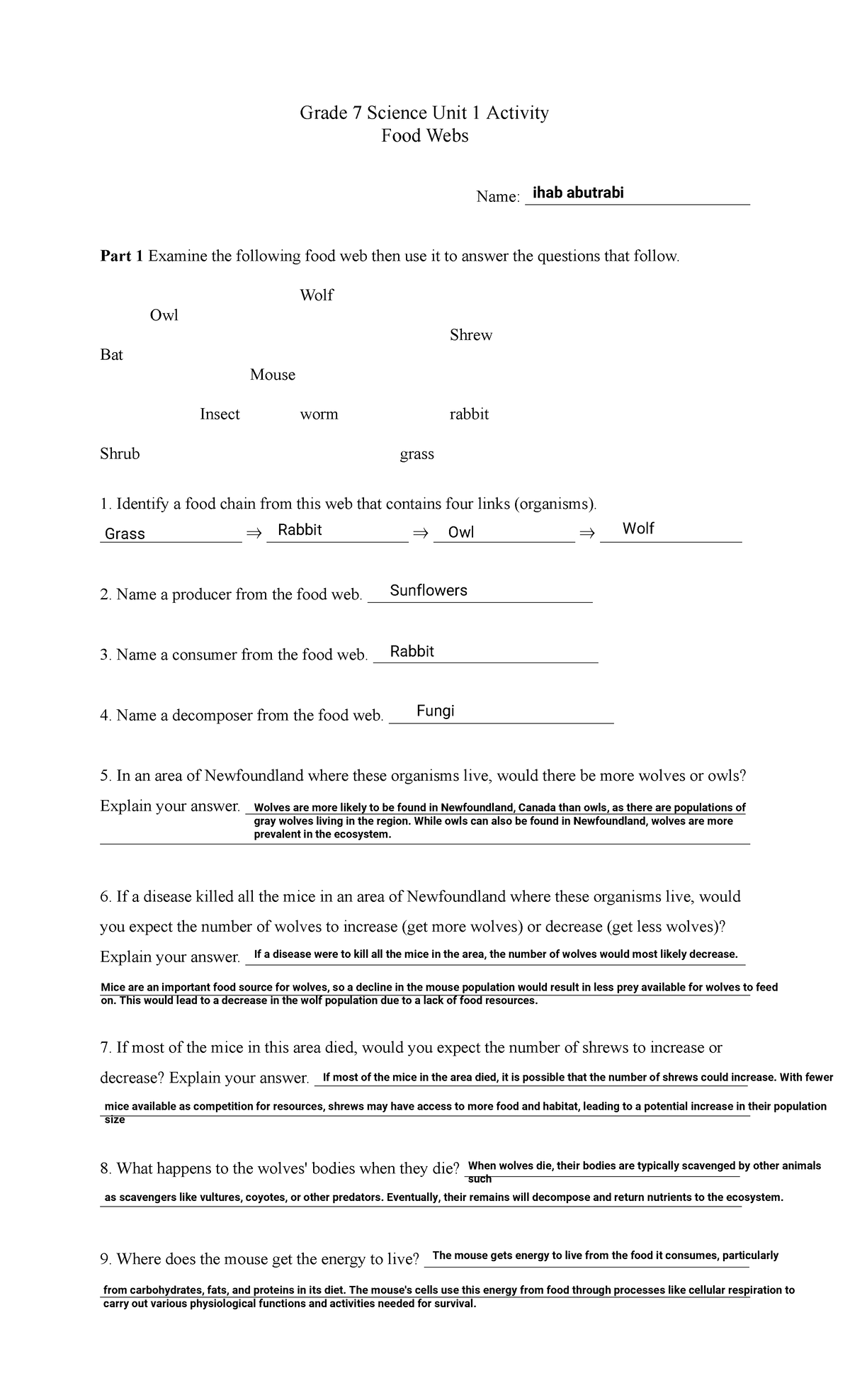 Food-web-worksheet - tstst - Grade 7 Science Unit 1 Activity Food Webs ...