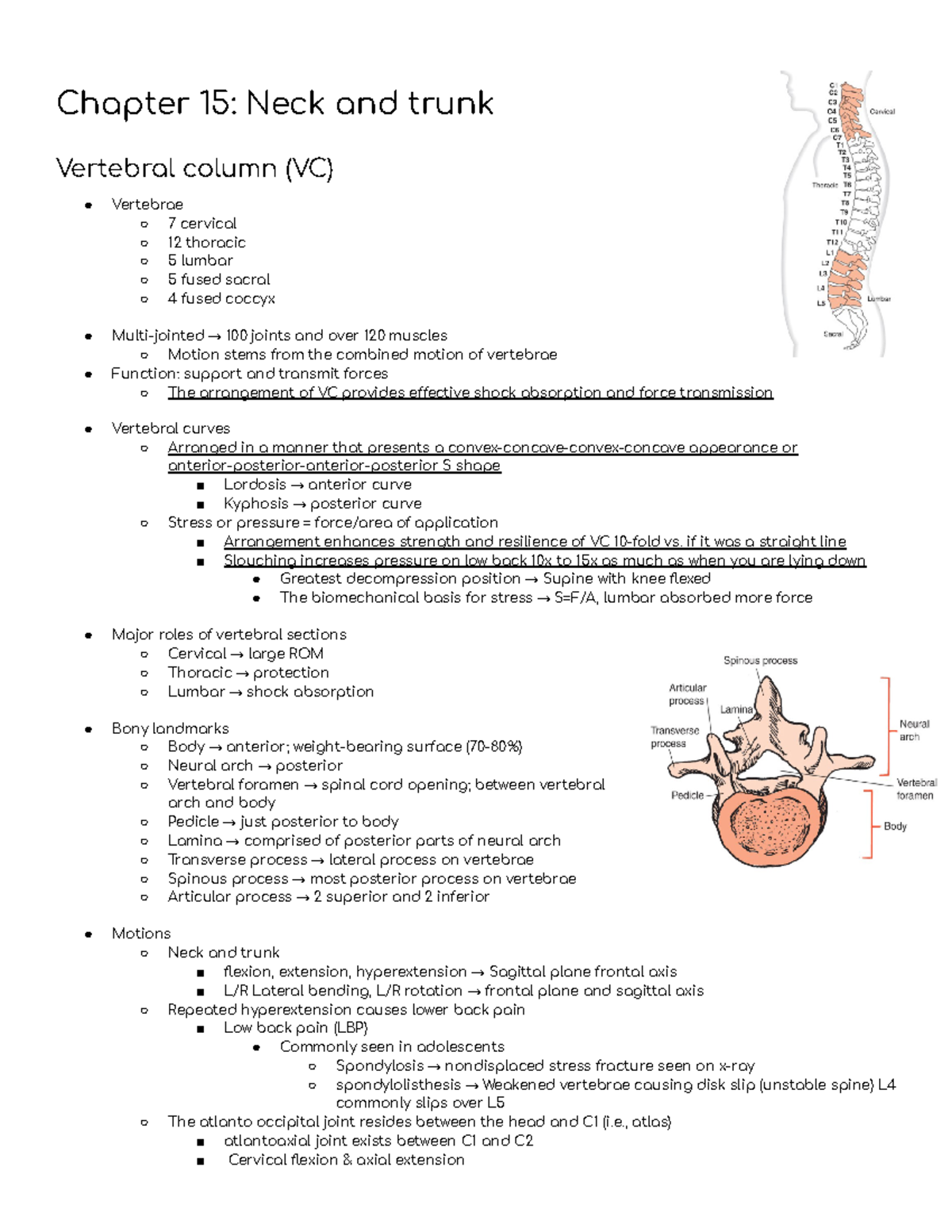 Applied kine unit 3 - Complete lecture (Dr. Thompson) and book notes ...
