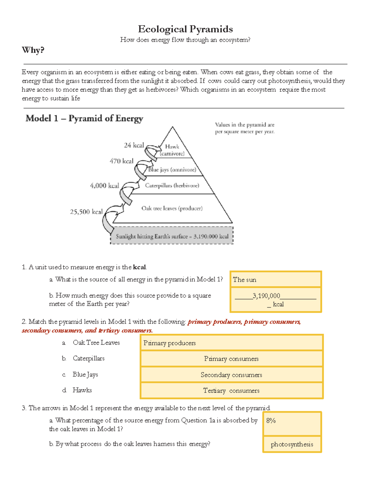 Ecological Pyramid Worksheet