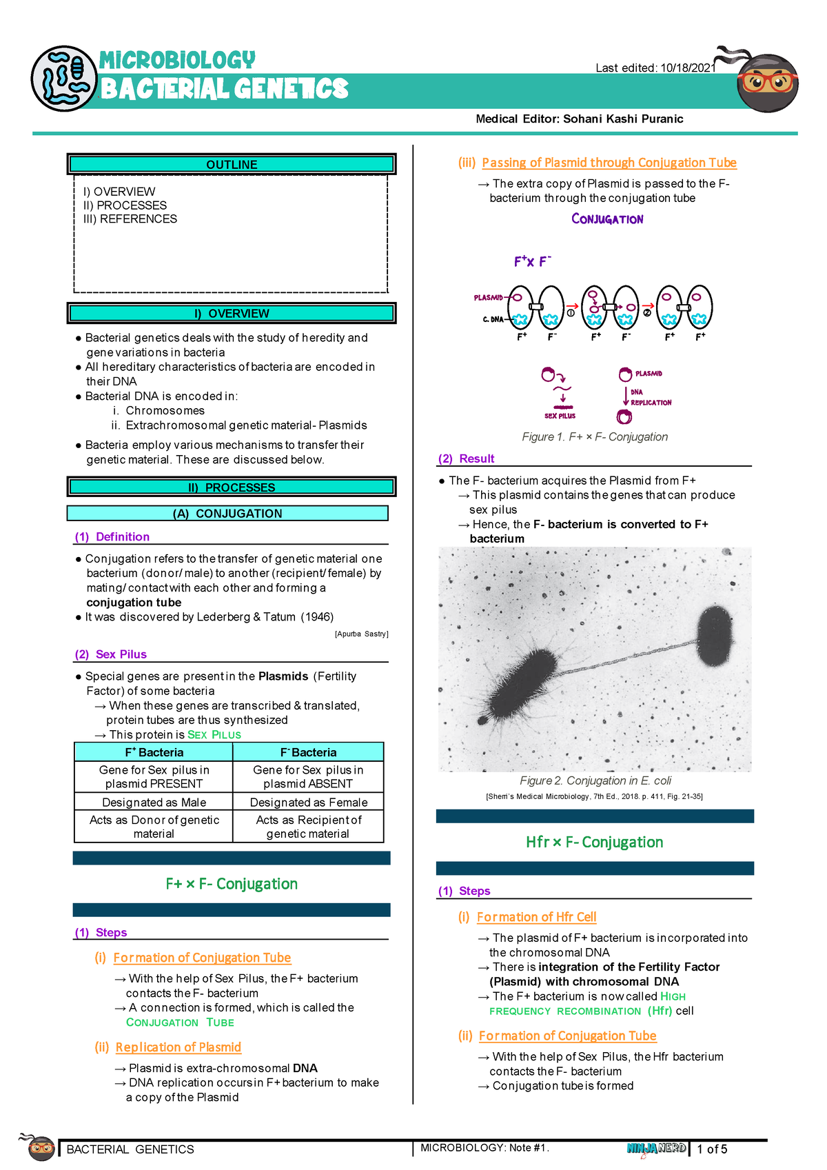 write an essay on current status of microbial genetics