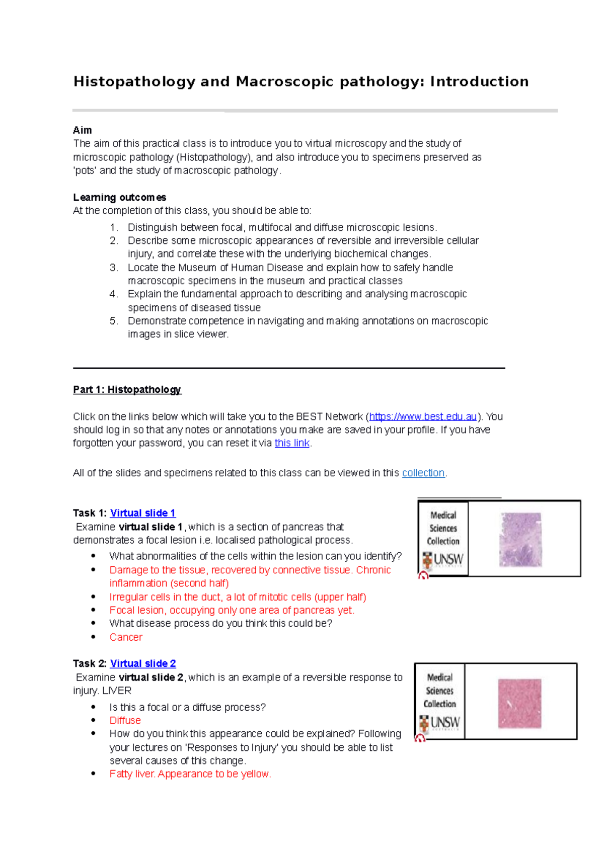 Histopathology And Macroscopic Pathology 1 - Worksheet - Histopathology ...