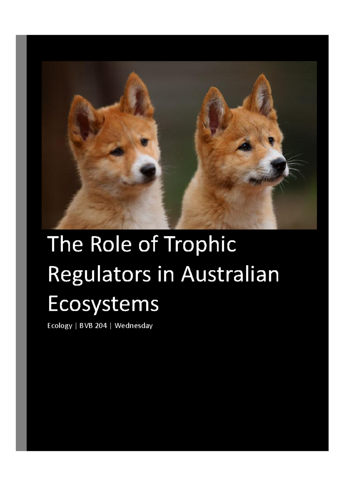 Ecology Lit Review The Role of Trophic Regulators in Australian