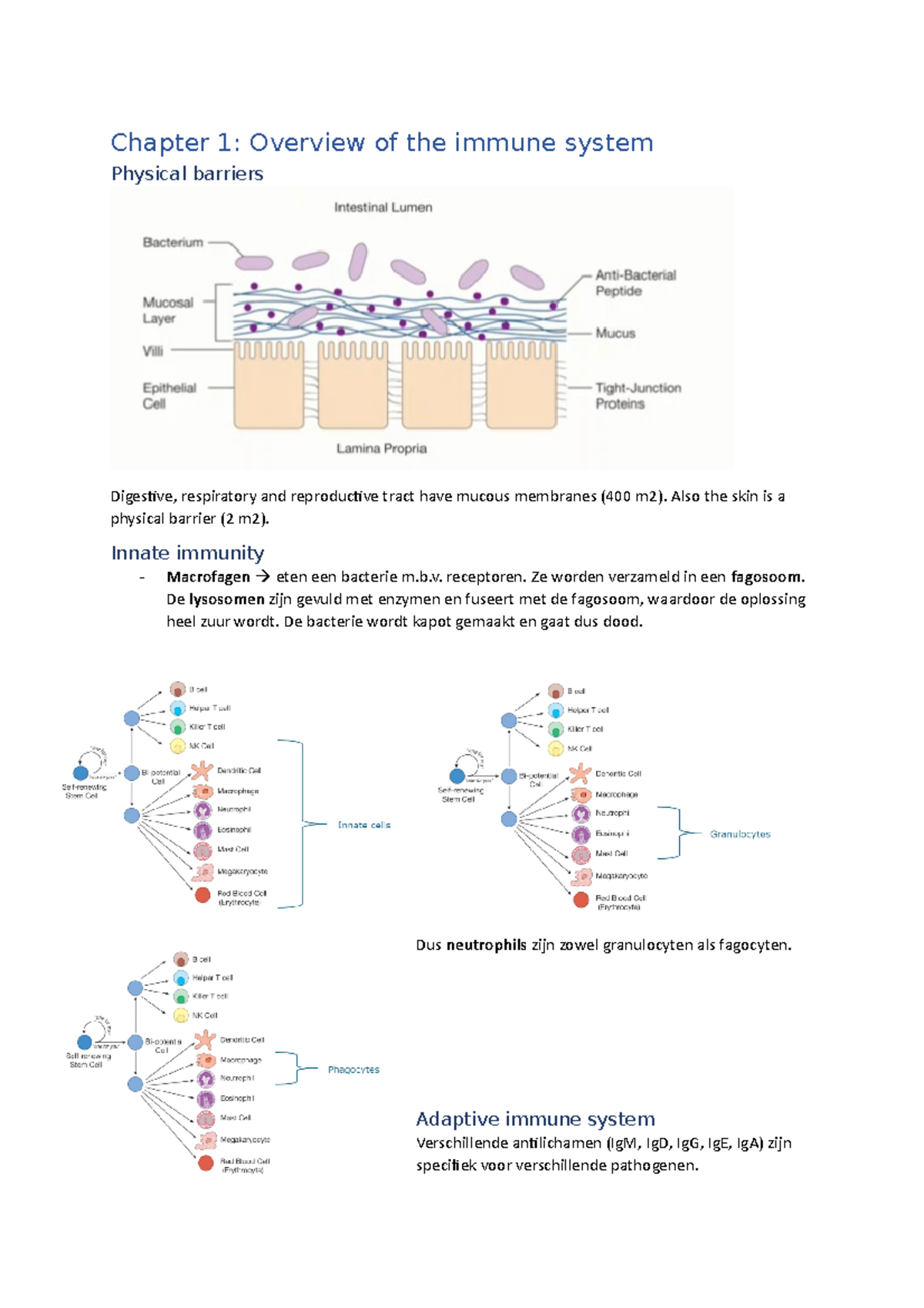 Introduction To Human Immunology Lecture Notes - Chapter 1: Overview Of ...