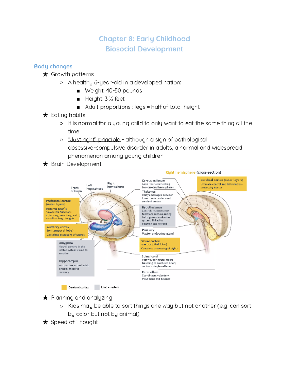 Chapter 8 Early Childhood - Biosocial Development Lecture Notes 