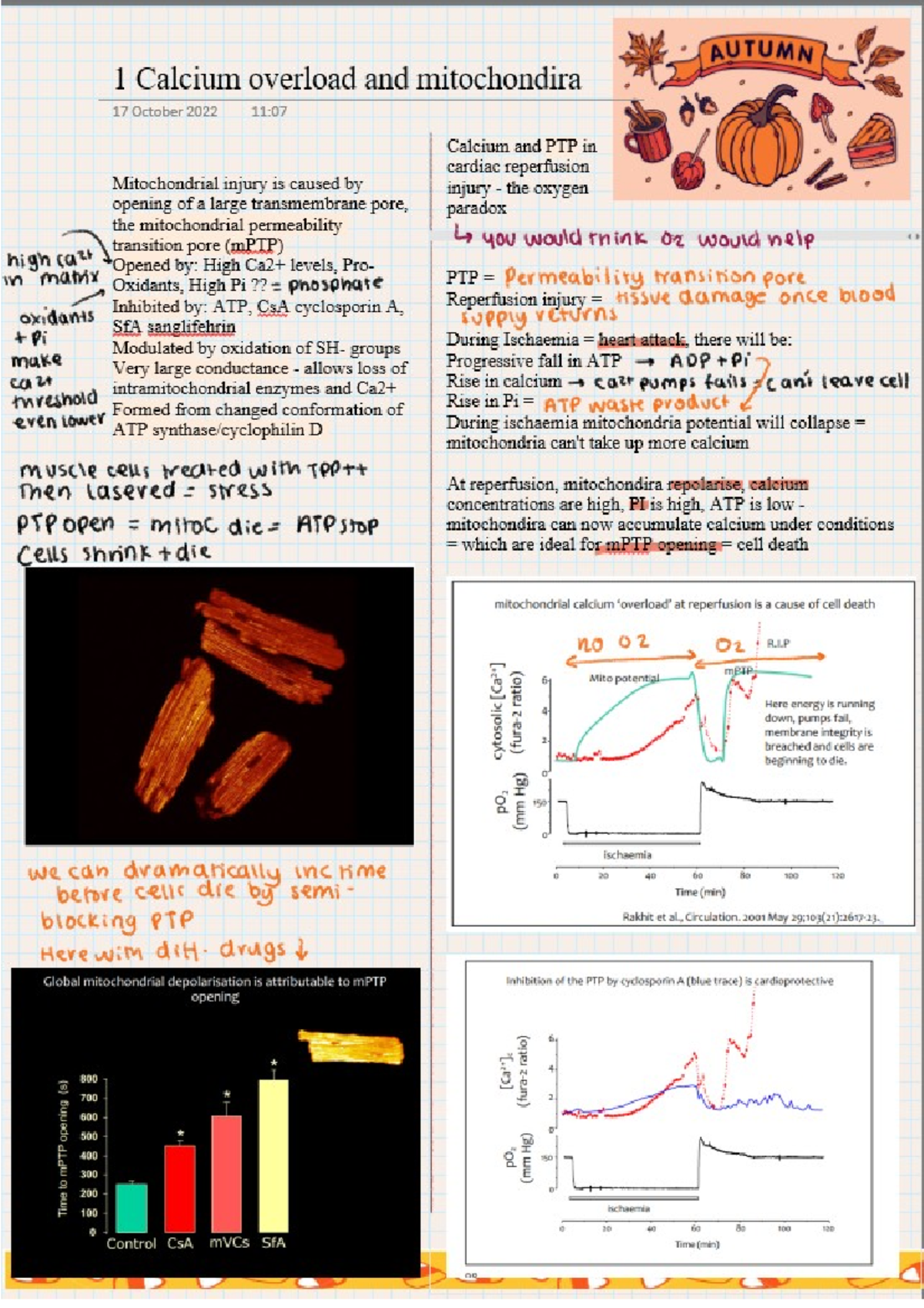 Week2 Calcium and Mitochondria - CELL009 - Studocu