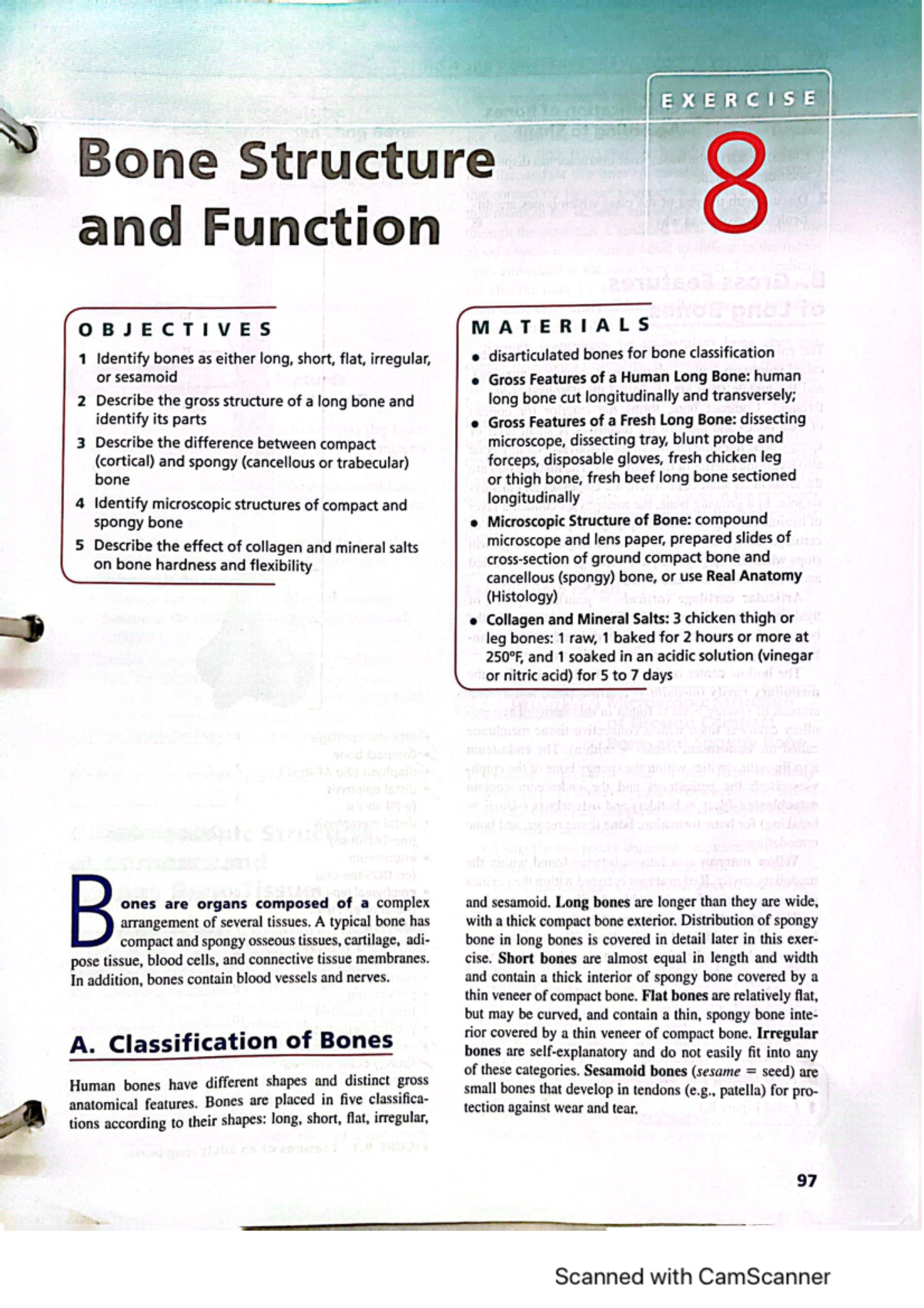 Bone Structure and Function - x ERCISE Bone Structure 8 and Function B ...