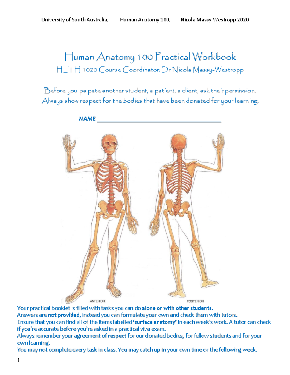 anatomy-practical-book-2020-warning-tt-undefined-function-32