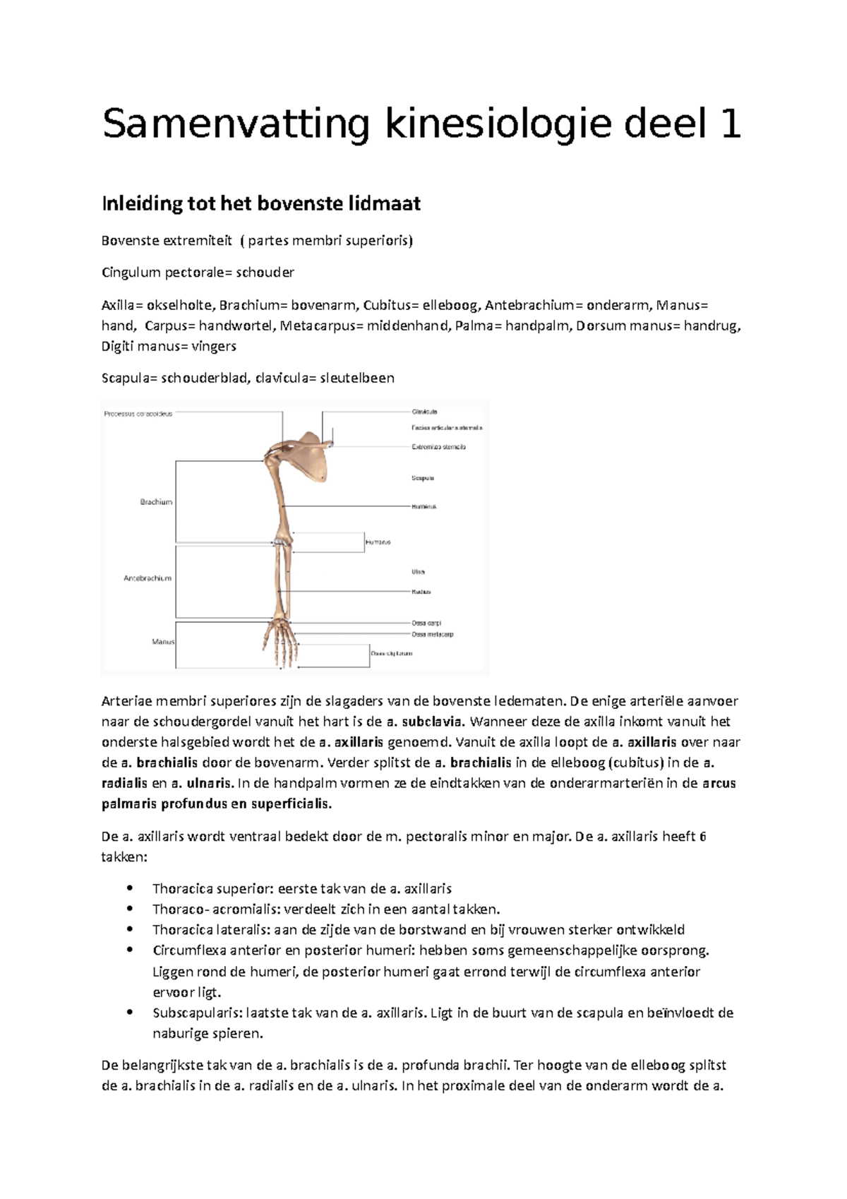 Kin Deel 1 Theorie - Kinesiologie Deel 1 - Theorie - UHasselt - Studocu