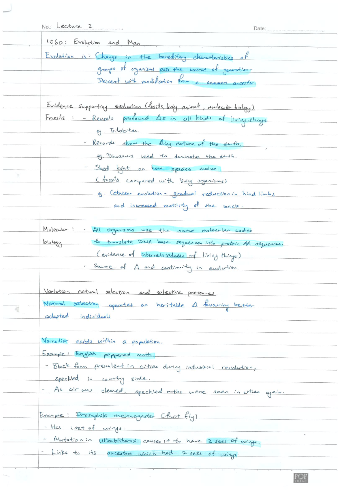 Human Form and Function - Lecture notes - 4BBY1060 notes - 4BBY1060 ...