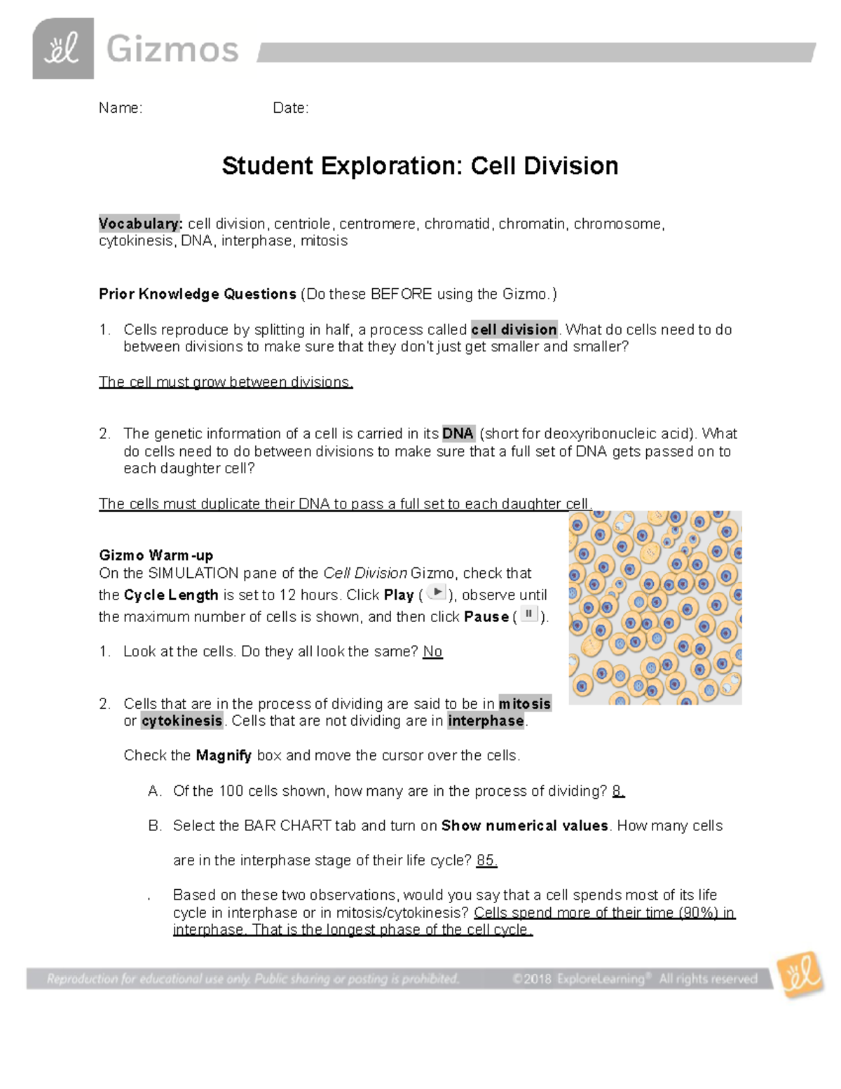 Cell Division Gizmo Sheet - Name: Date: Student Exploration: Cell ...